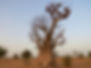Image by E. Diop