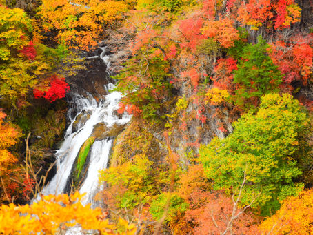 Autumn foliage at a waterfall in Nikko