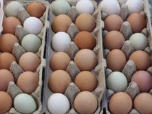 The Benefits of Joining a CSA How to Save Money on Fresh Produce.