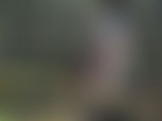 Why Bromley Borough Of London Businesses Should Choose Agata Business Services for Wix SEO