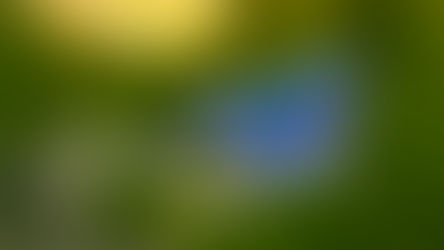 Unleashing Your Potential: Transforming Adversity into Opportunities for Growth