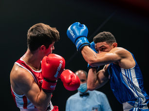 Wordpress verse Wix Platform