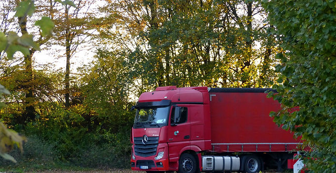 Red lorrie in forested area