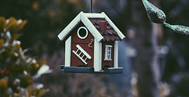 Assets Protection Trust