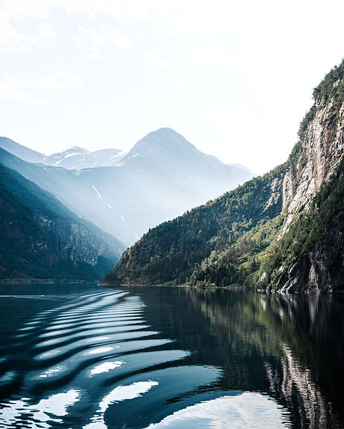 Image by Lachlan Gowen