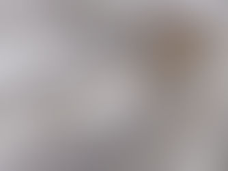 Silk Carpet Cleaning Services in Woodbridge, NJ