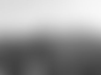 Swan's Picks for October 20