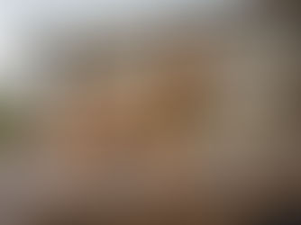 Affordable Dog Training Prices Explained