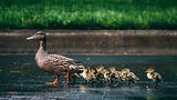 Image by Vlad Tchompalov