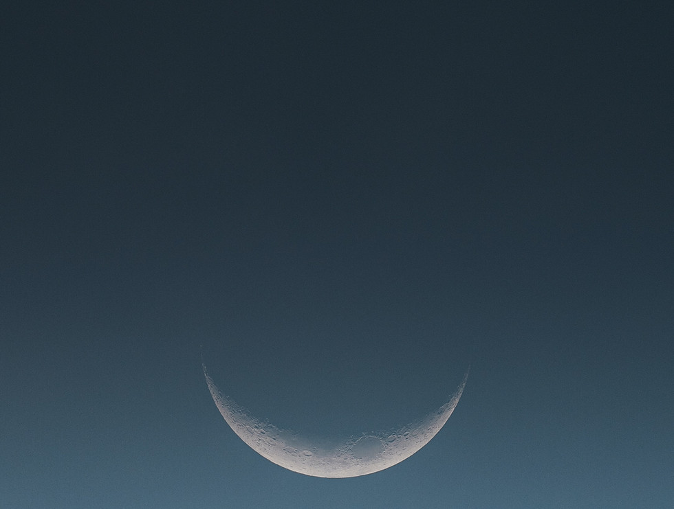 Image by Maryia Shedava