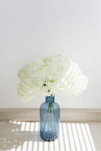 Image by Elena Putina White hydrangeas in a blue glass vase, evoking the calm of Julie Cardoza's therapy practice