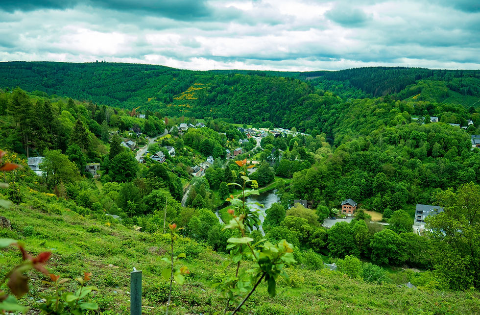 The green ardennes in the summer