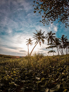 Image by Eshan Malaviarachchi