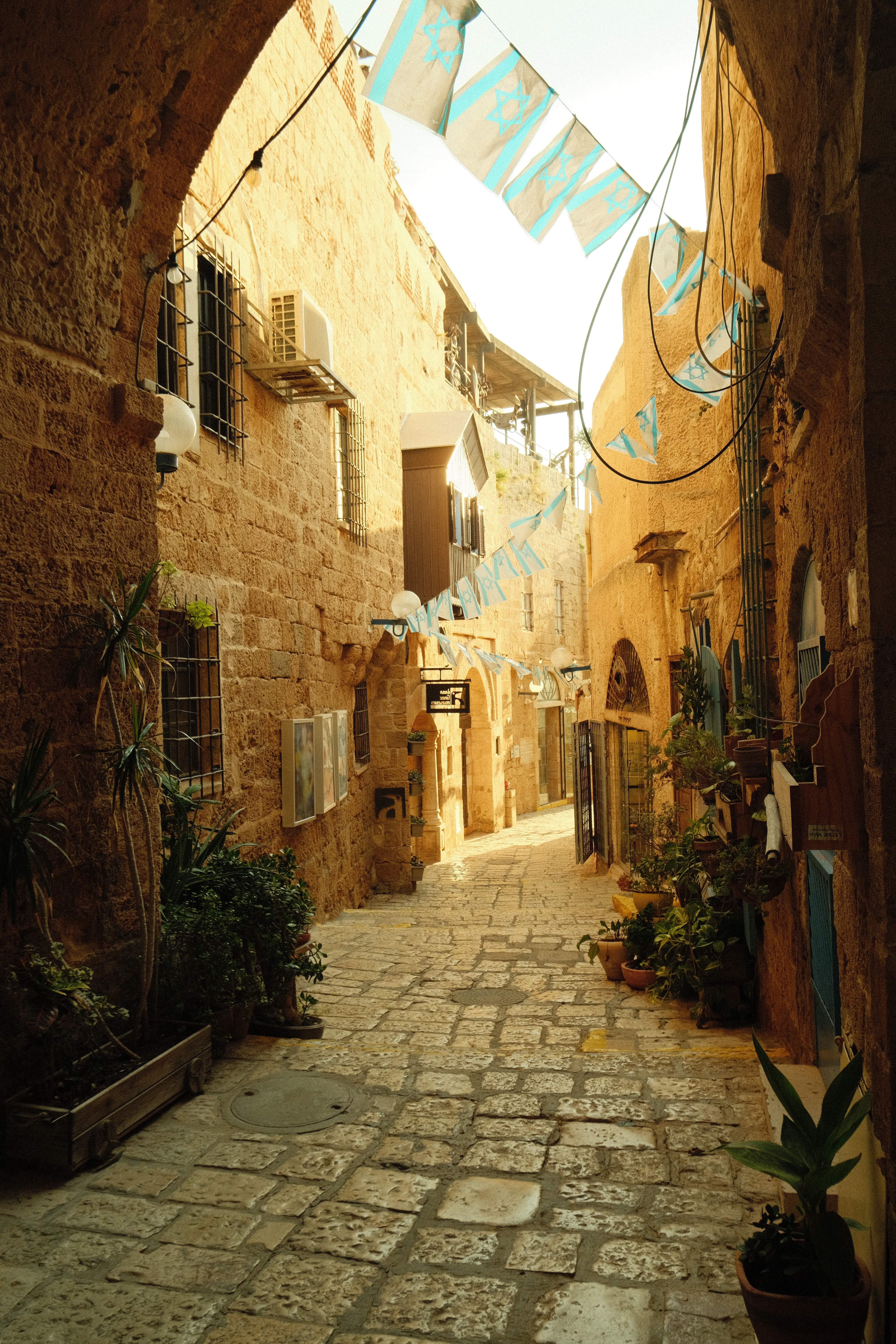 A Journey Through the Holy Land