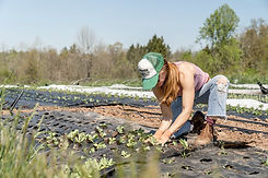 Growing Small Business with micro-grant