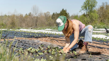 Plant Spacing Guide – Proper Plant Spacing for Vegetables, Herbs & Flowers