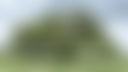 Ordinary Faith: Open Heartedness (Audio)