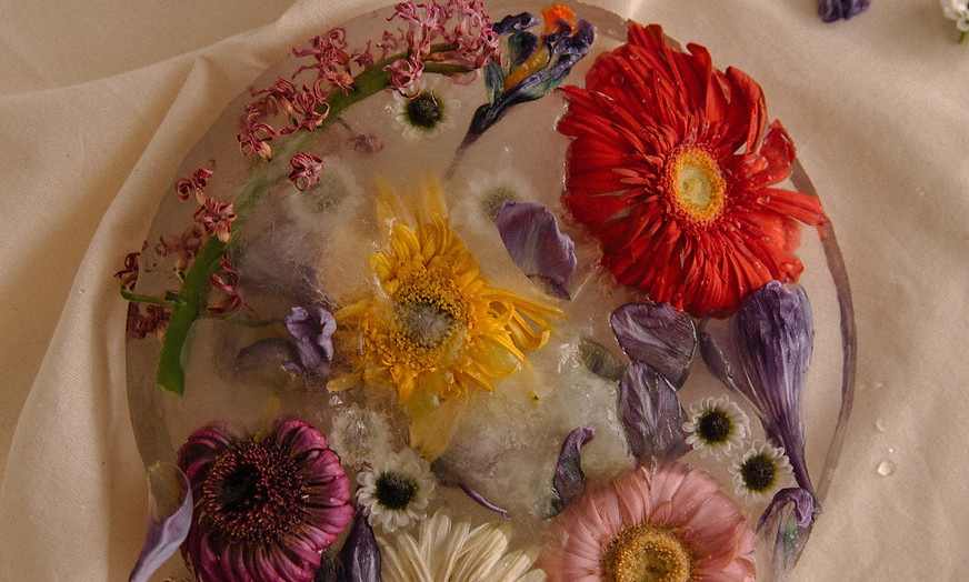 Image by Tamara Harhai