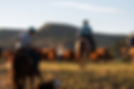 boy riding a horse