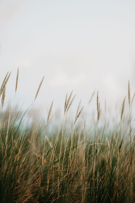Image by Kristaps Ungurs