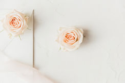 Image by Katie Goertzen