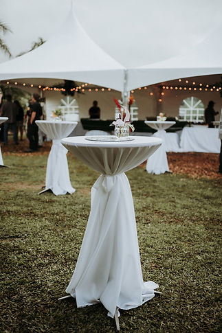 Image by Zane Persaud