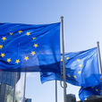 European Economic Tools of Coercion