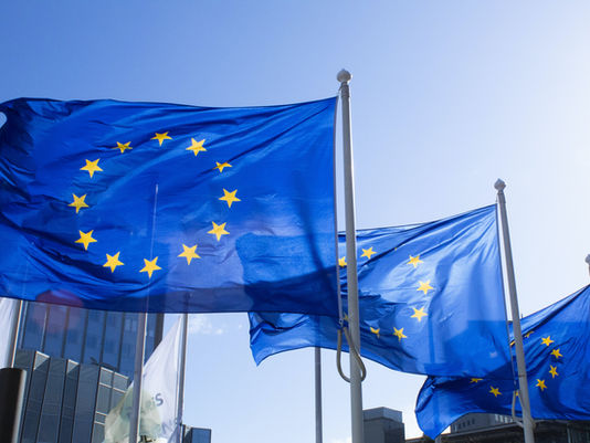 European Economic Tools of Coercion