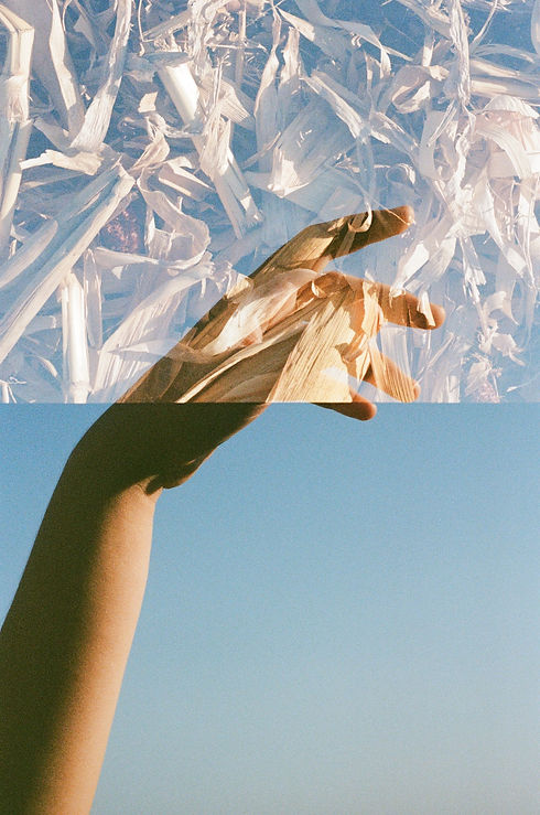 Image by Abi Baurer