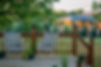 Image by Ralph (Ravi) Kayden