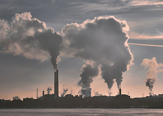 pollution heavy metal exposure
