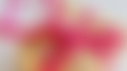 Assumptions and the Season of Giving