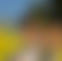 Virtual assistant for ADHD professionals