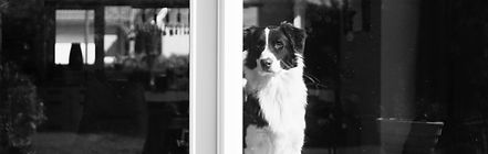 Image by Sacha Verheij