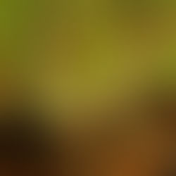 India’s Quality Ecosystem at a Crossroads: A Living System in Need of Transformation