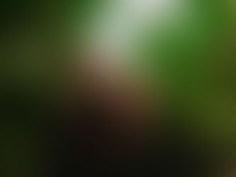 우리는 누군가를 닮아간다