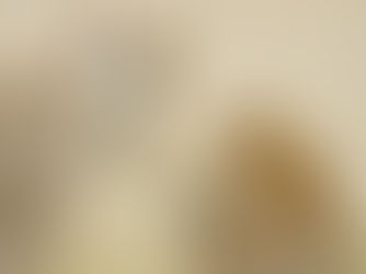 3 Day Safari from Zanzibar: Complete Guide to the Best Options, Costs and Itinerary