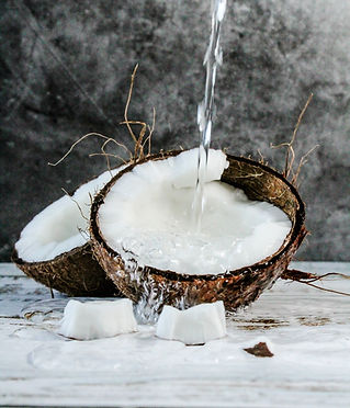 Image by Tijana Drndarski