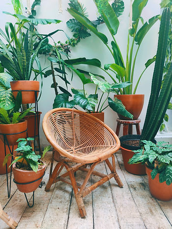 Les règles de la slow life