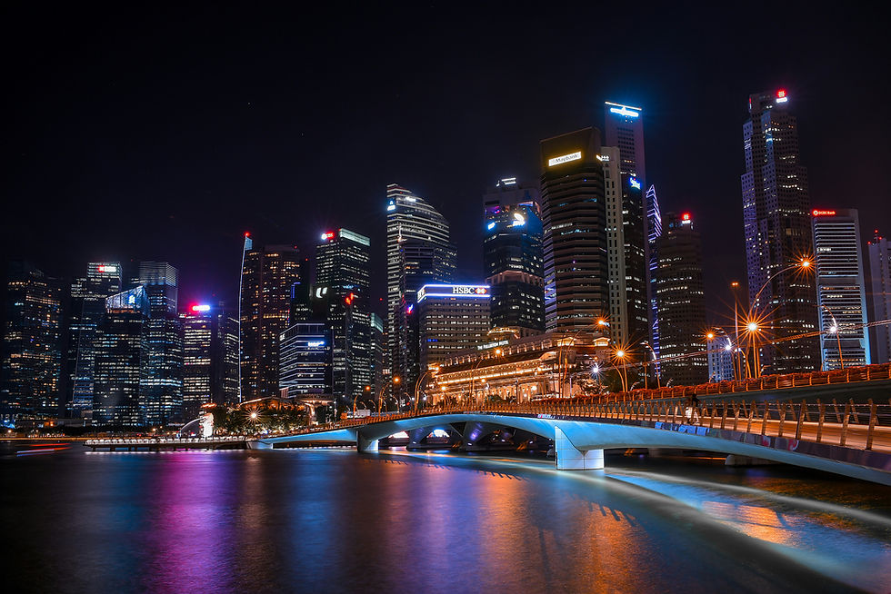 Image by Roce Vu