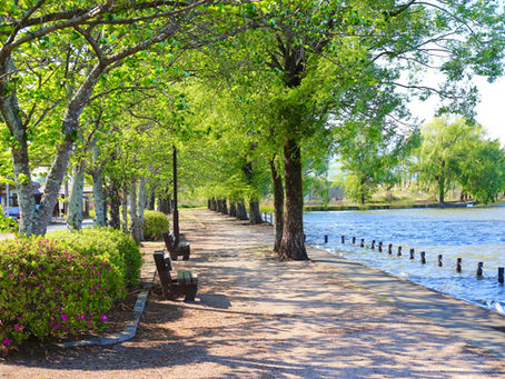 Living in Crystal Palace: A Comprehensive Guide for buying a home