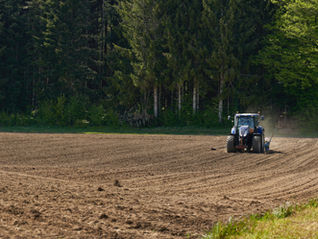 El poder de los biofertilizantes en la agricultura moderna