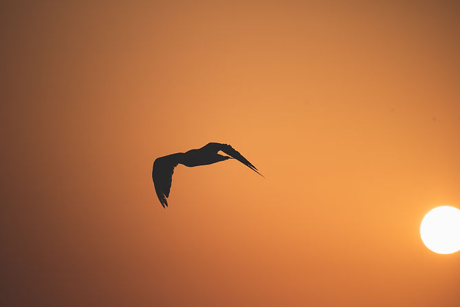 Image by Angel Balashev