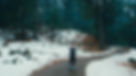 Image by Hadwt