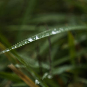 Rain/Freeze Sensors: Facts, Fallacies, and Recommendations