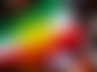 Kurdistan ist unser Leben.