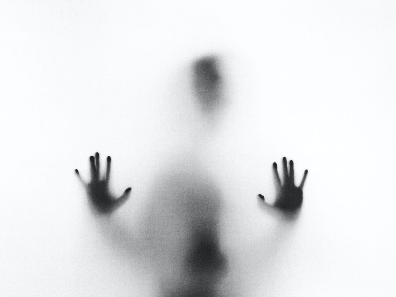 Image by Stefano Pollio