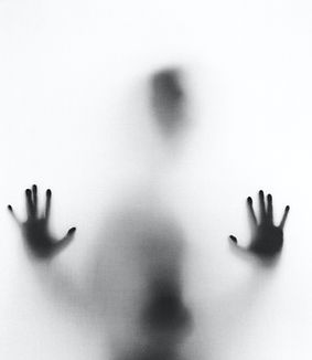 Image by Stefano Pollio