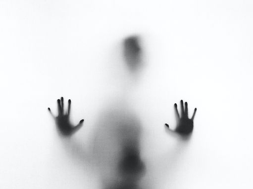 Image by Stefano Pollio