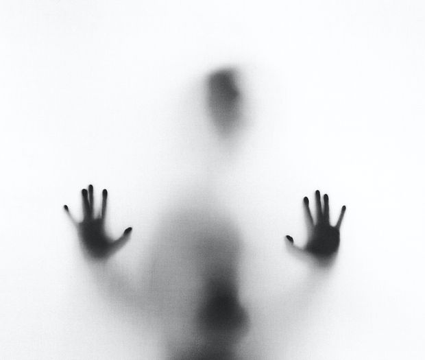 Image by Stefano Pollio